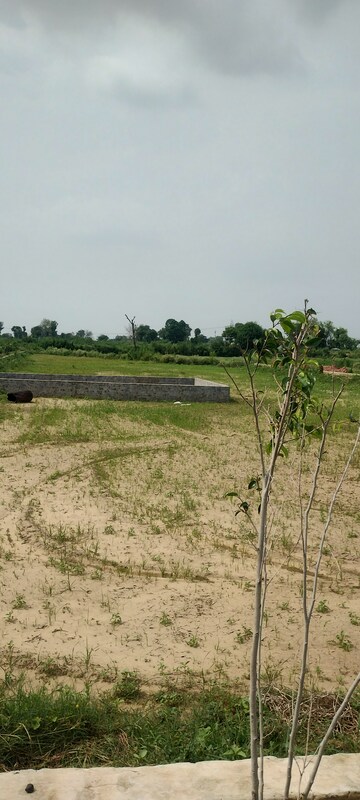  Plot For Sale in Noida Central