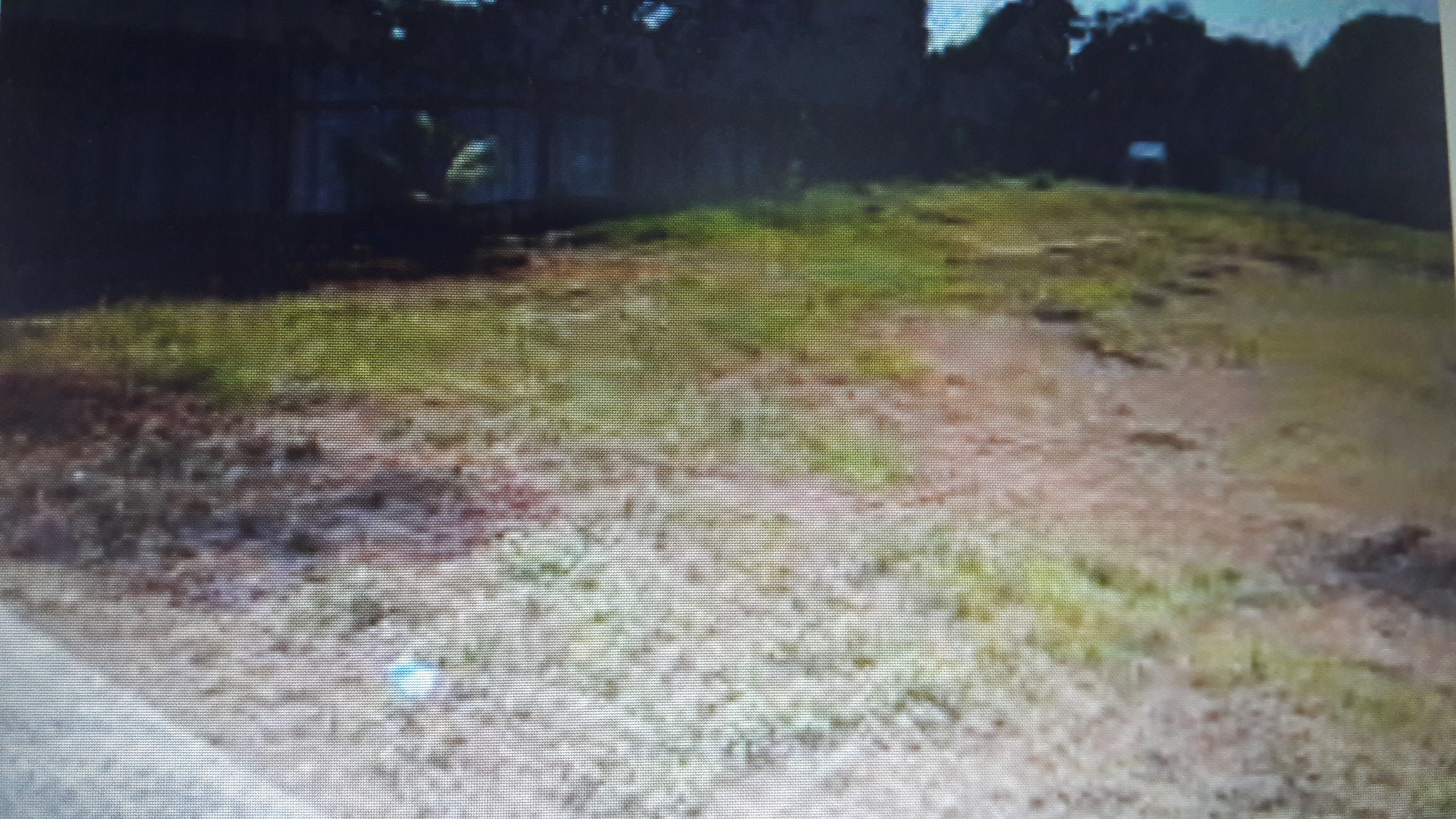 Plot For Sale in Palace Guttahalli