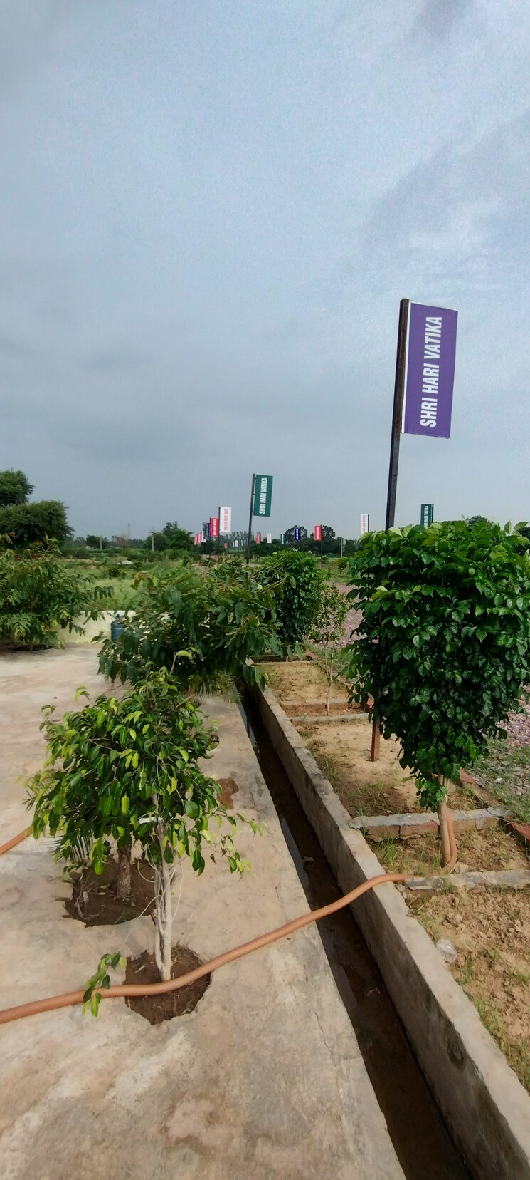 Exterior View, noida central  100 Sq.Yd. Plot In Noida Central Noida 8993777