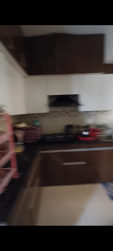 Kitchen in 2 BHK Apartment at Signature Global The Roselia, Sector 95a – for Rent