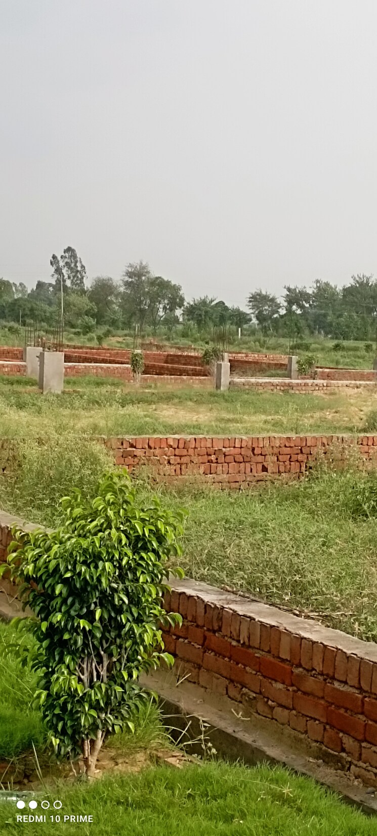 Garden, tappal  500 Sq.Yd. Plot In Tappal Aligarh 8980348