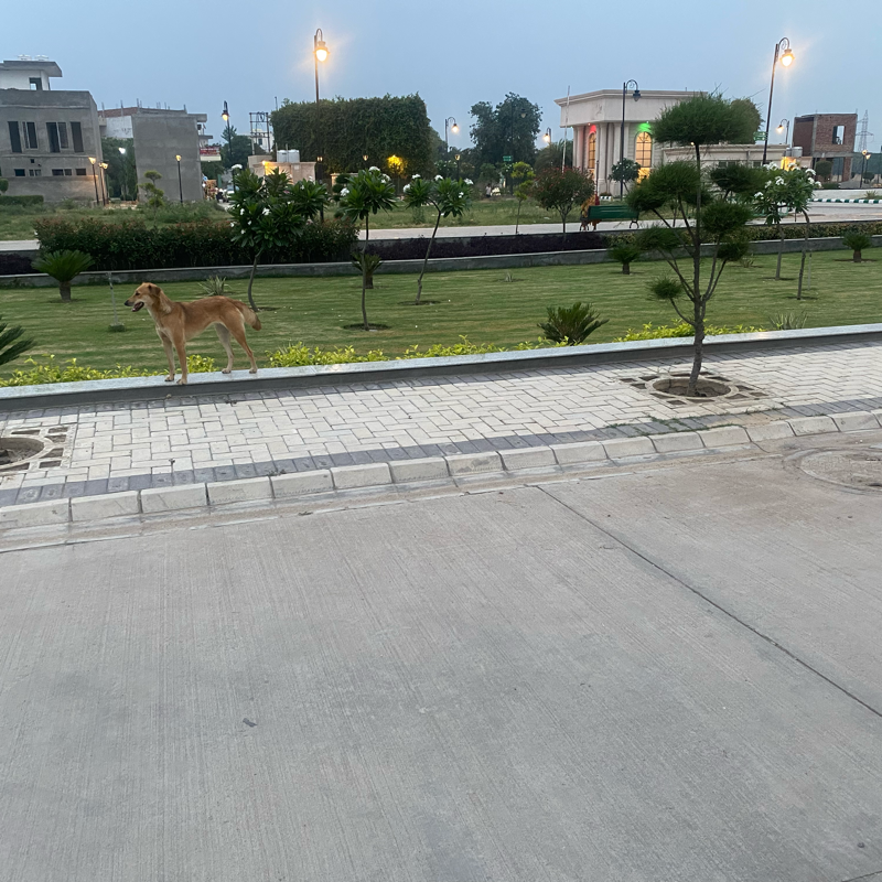 Plot For Sale in Signature Global City