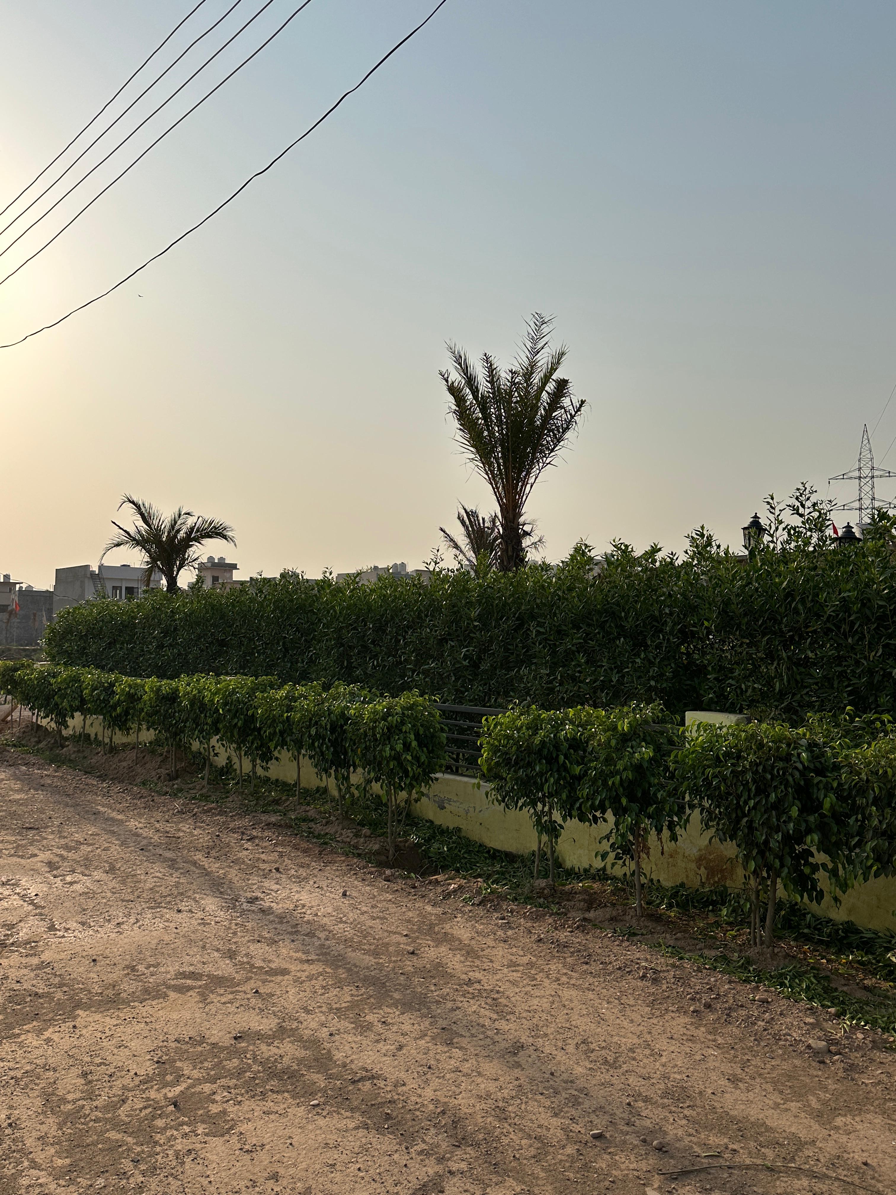 Plot For Sale in Green Residency Kharar 