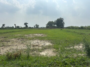 Plot Area in  Plot at Dalelpur Village – for Sale