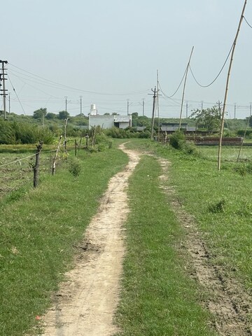  Plot For Sale in Dalelpur Village
