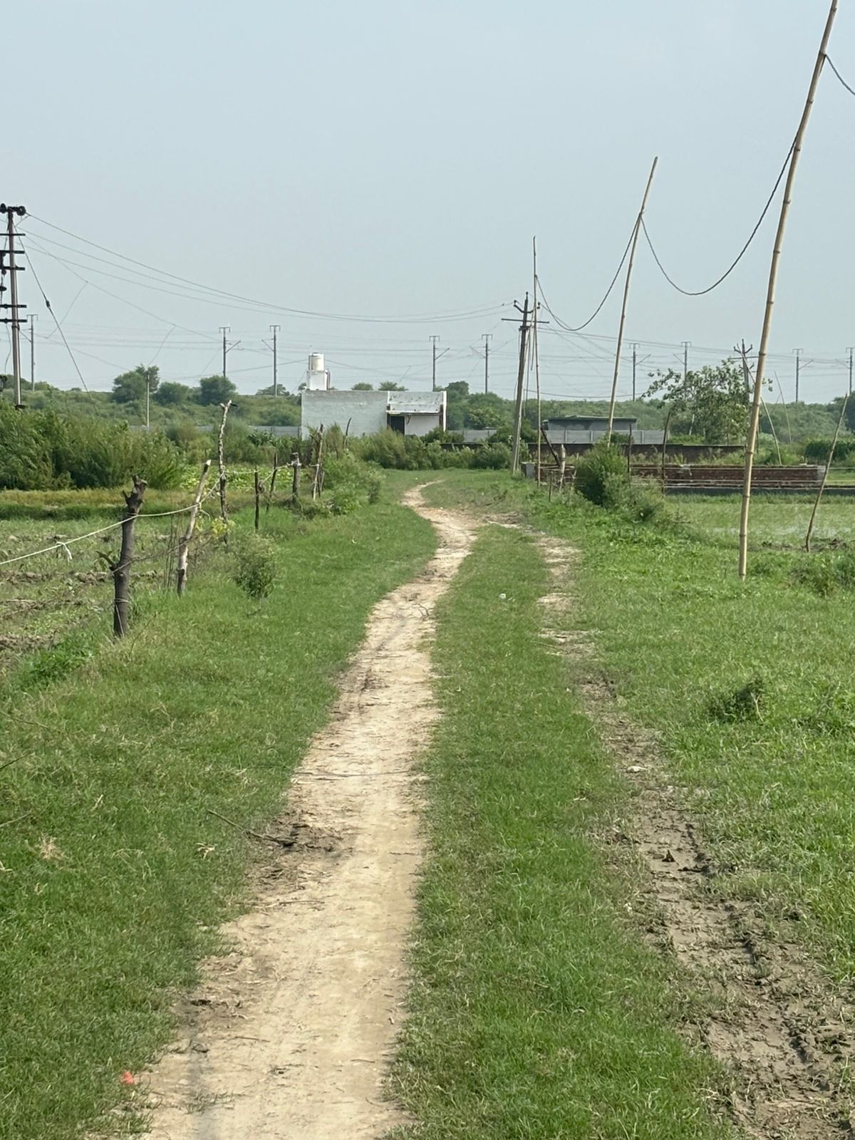 Plot For Sale in Dalelpur Village