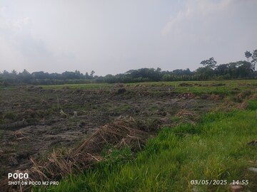 Plot Area in  Plot at Pailan – for Sale