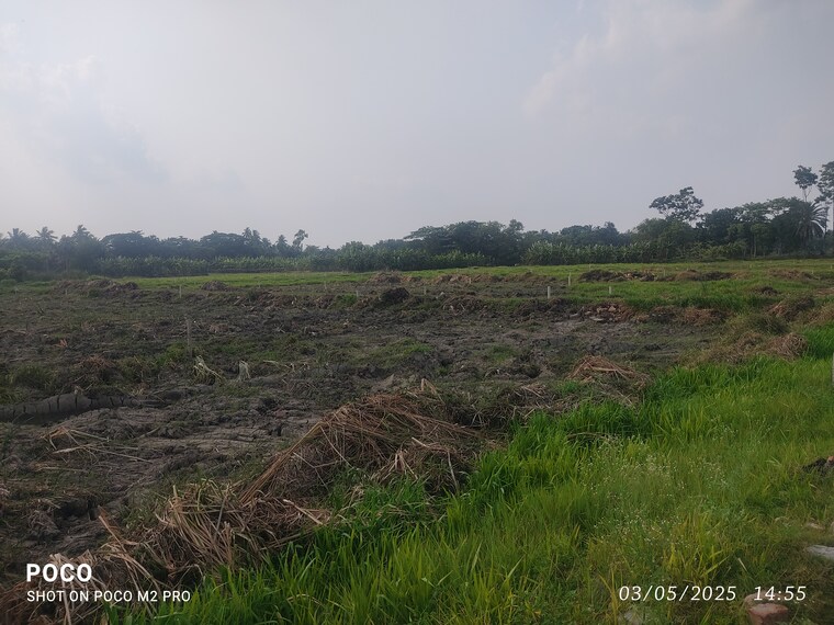 undefined, pailan  2160 Sq.Ft. Plot In Pailan Kolkata 8994277