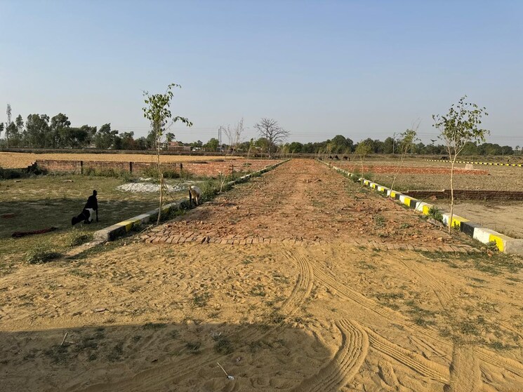 undefined, sultanpur road  800 Sq.Ft. Plot In Sultanpur Road Lucknow 8994286