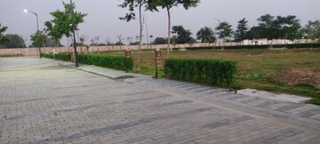 Plot Area in  Plot at Sector 84 – for Sale