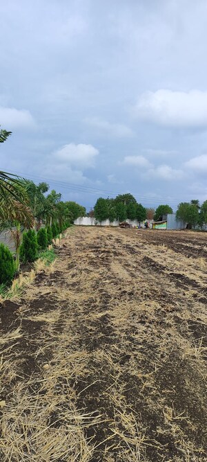 Plot Area in 1 BHK Independent House at Devguradia – for Sale