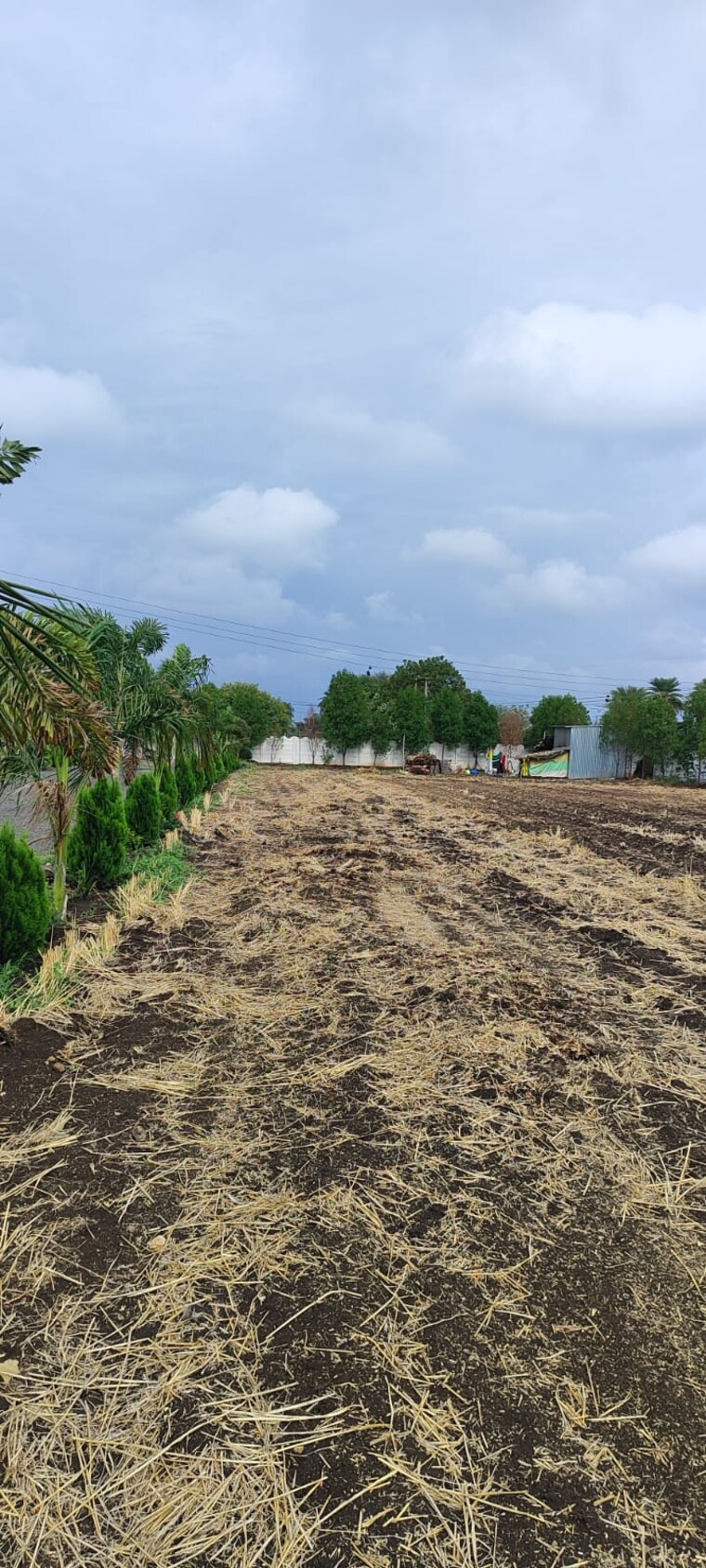 undefined, devguradia 1 Bedroom 5500 Sq.Ft. Independent House In Devguradia Indore 8994577