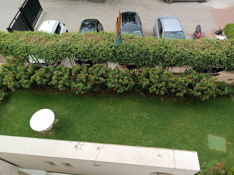 Garden, bptp-park-81 3 Bedroom 300 Sq.Yd. Builder Floor In Sector 81 Faridabad 8994565