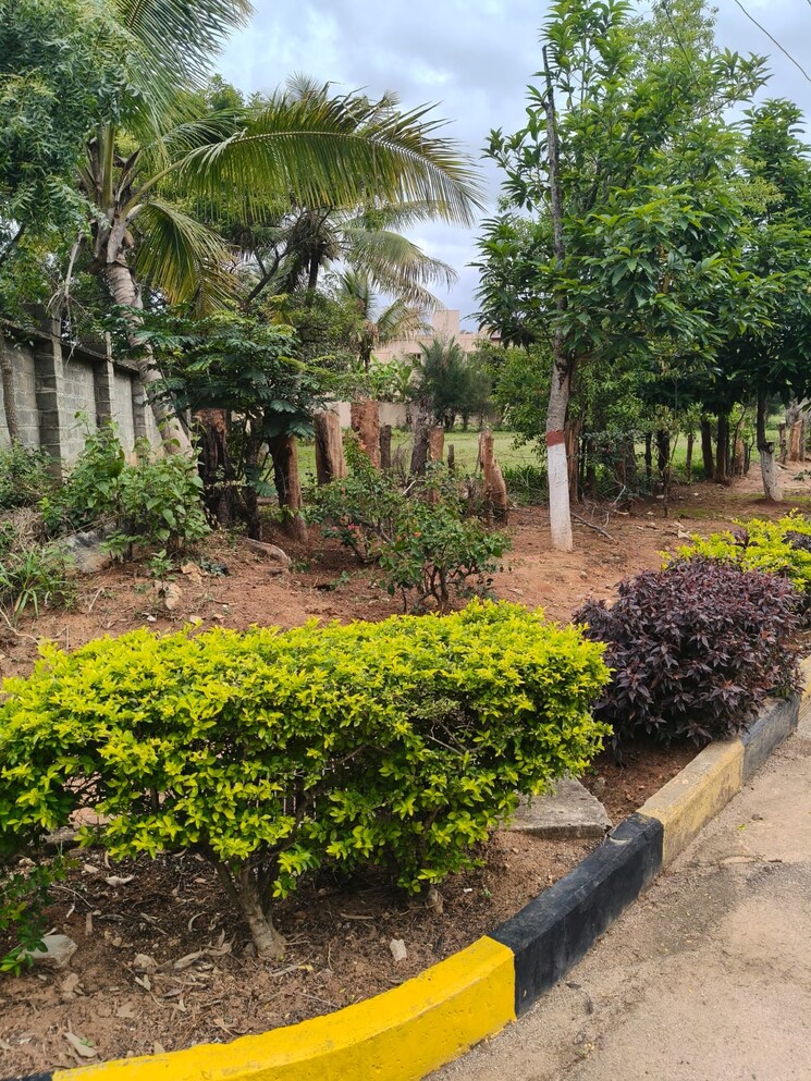 Garden, k-raheja-jade-gardens  4835 Sq.Ft. Plot In International Airport Road Bangalore 8994667