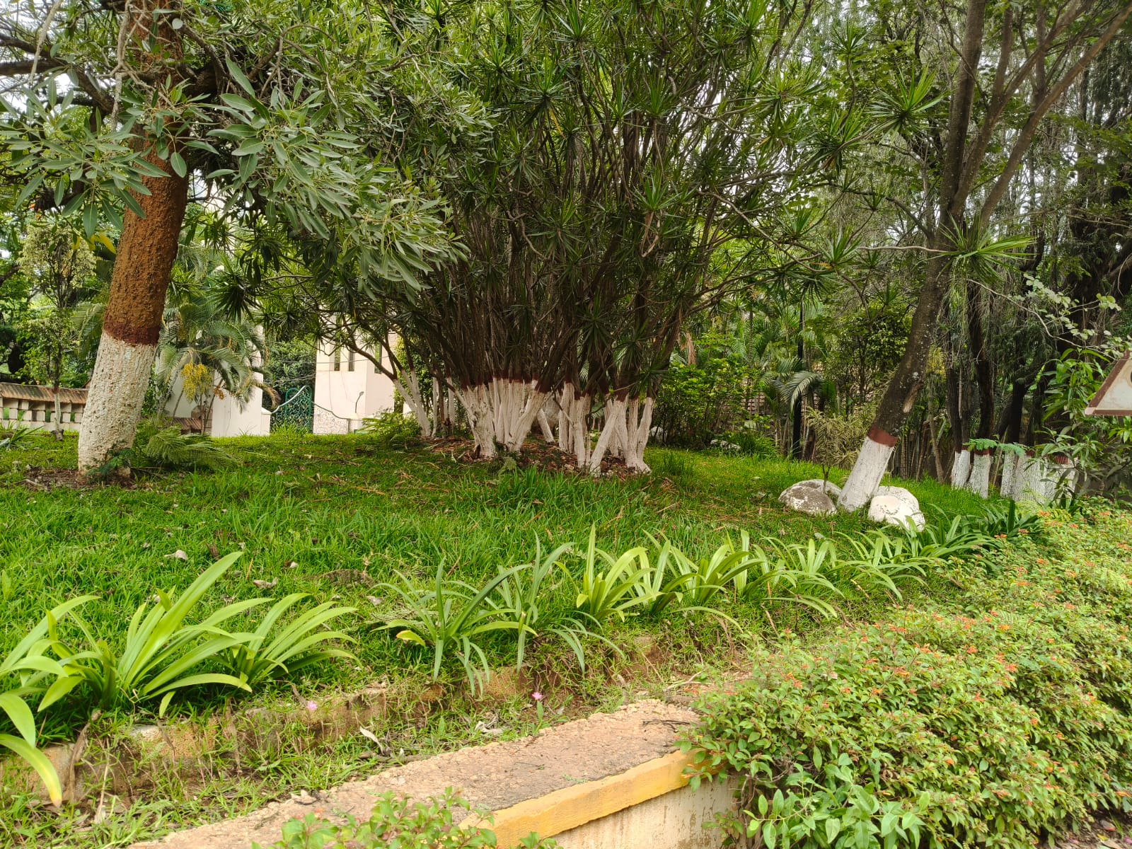 Plot For Sale in K Raheja Jade Gardens