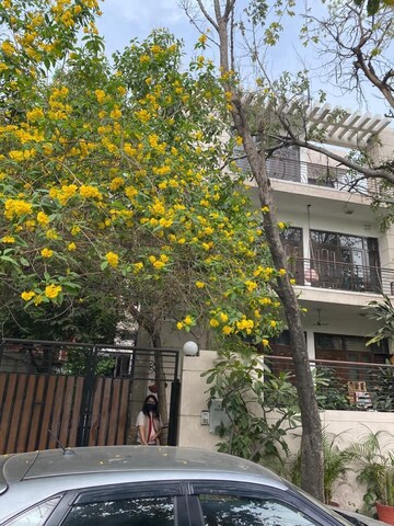 4 BHK Builder Floor – Exterior View View at Sector 30 - for Rent