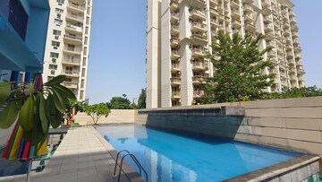 3 BHK Apartment For Rent in Tulip Violet, Sector 69