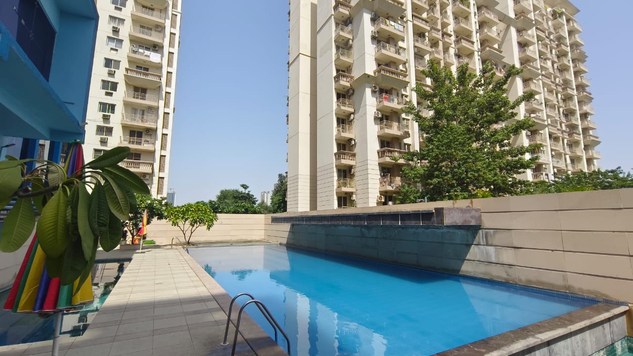 3 BHK + Pooja Room Apartment For Rent in Tulip Violet