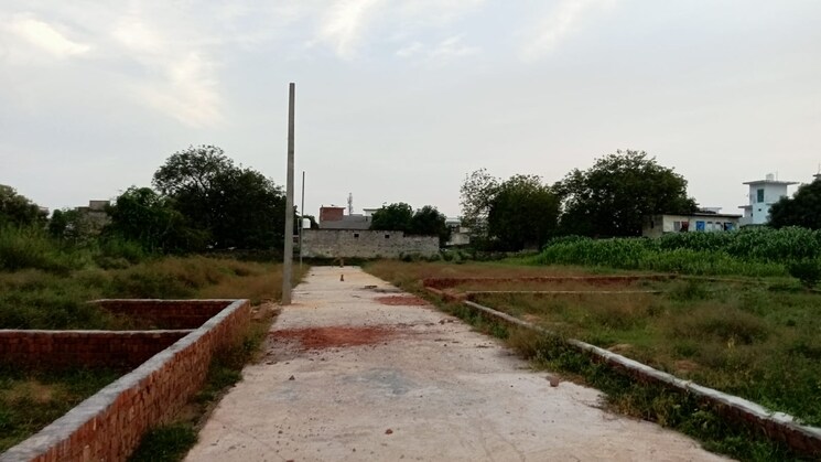 undefined, dadri  50 Sq.Yd. Plot In Dadri Greater Noida 8995046