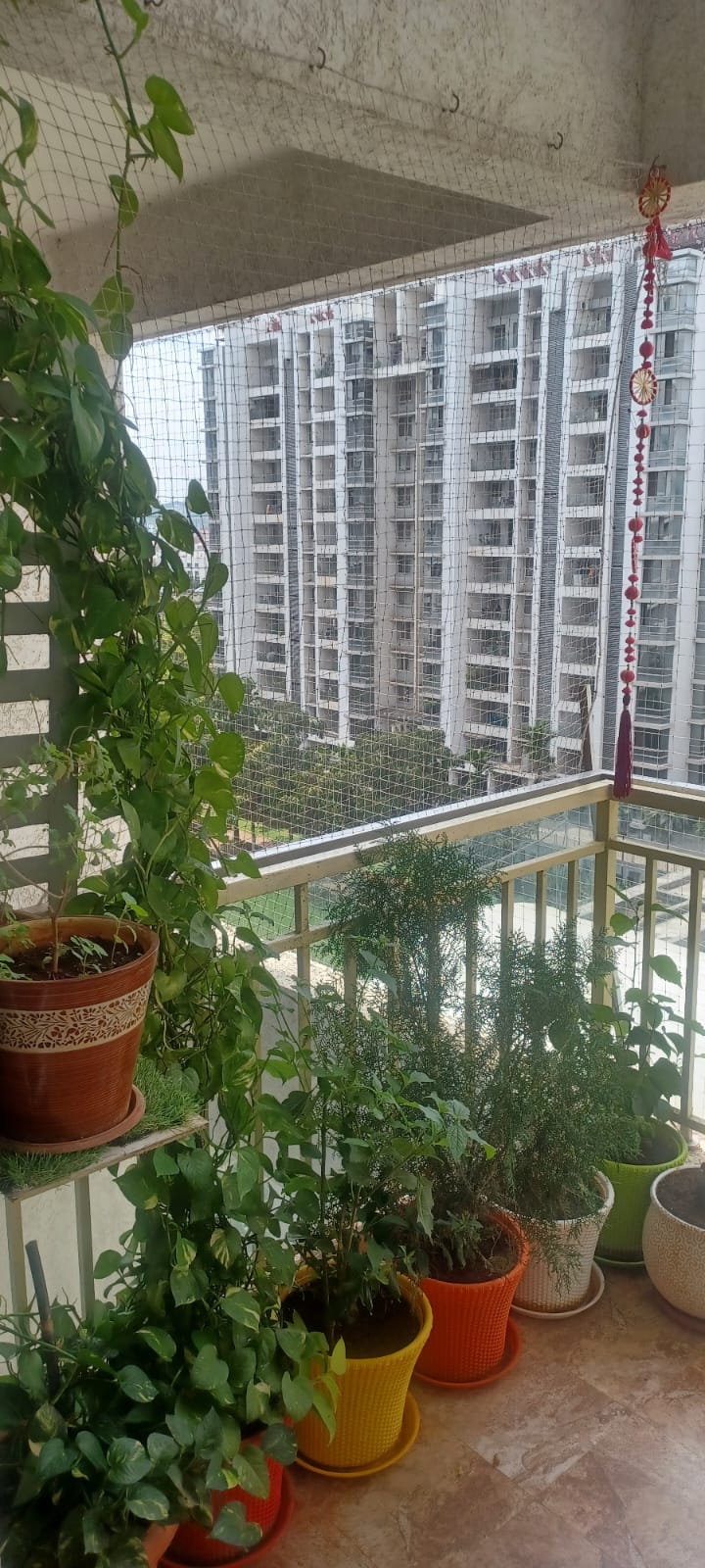 2 BHK Apartment For Sale in Pebbles II