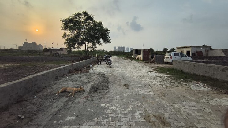 Exterior View, noida central  100 Sq.Yd. Plot In Noida Central Noida 8995418