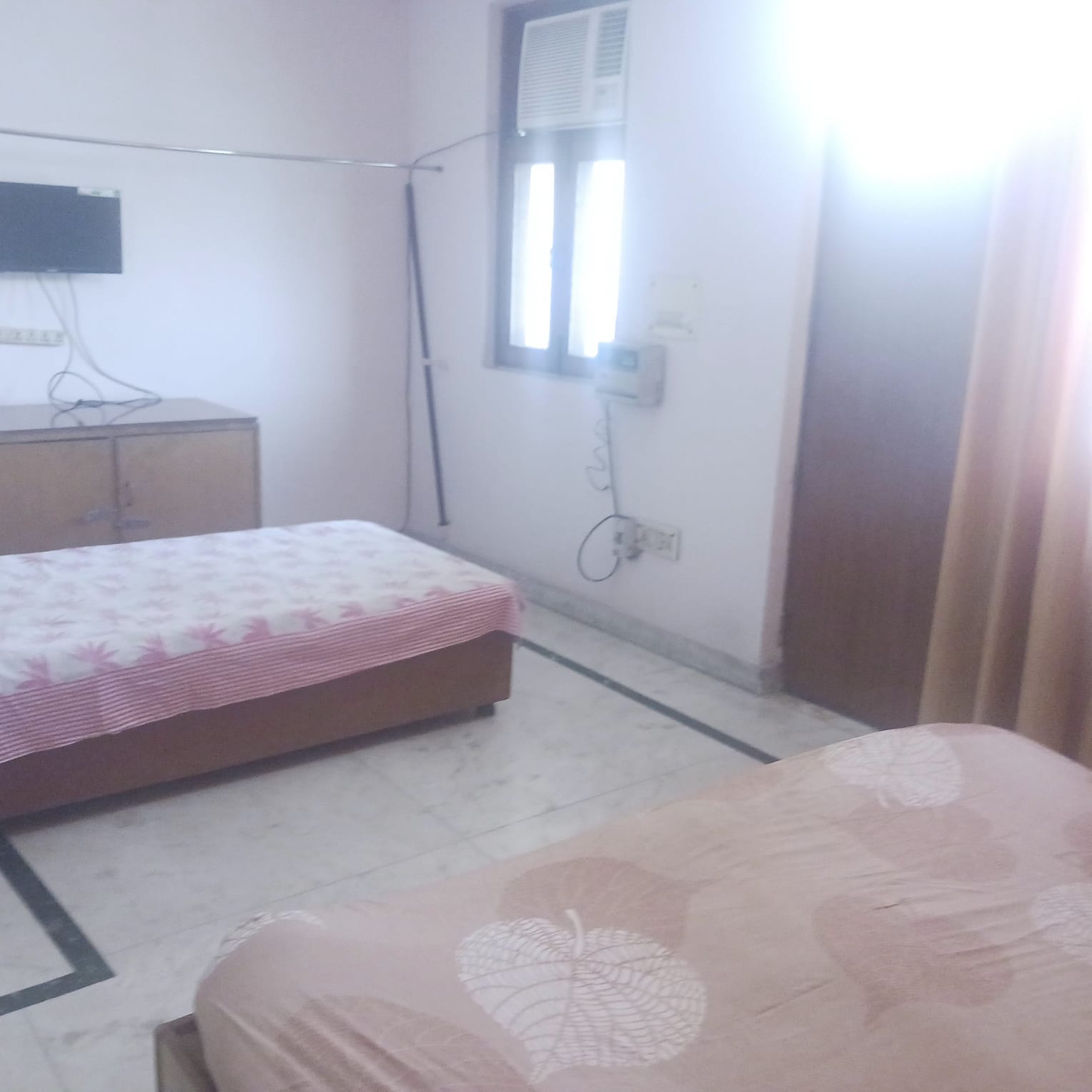 3 BHK + Pooja Room,Study Room Builder Floor For Rent in Sector 52