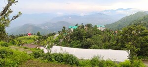 Plot Area in  Land at Bhimtal – for Sale