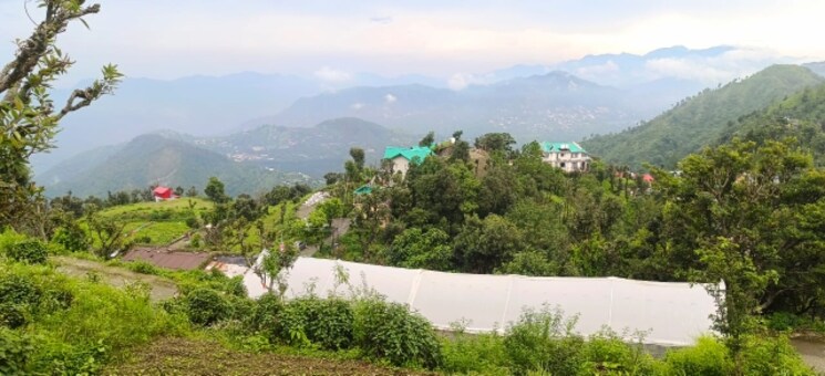 undefined, bhimtal Commercial Land 4200 Sq.Ft. In Bhimtal Nainital 8995561