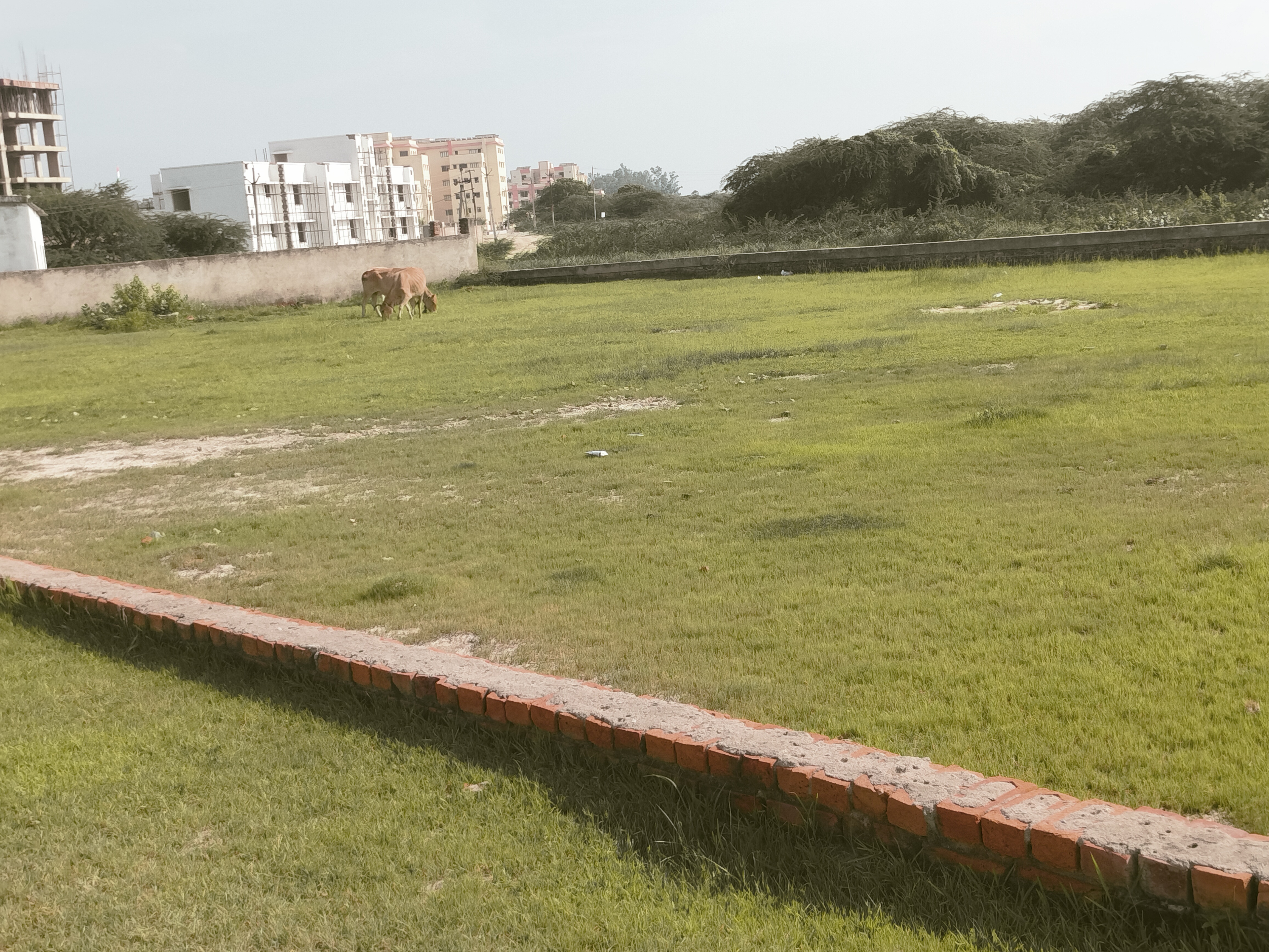 Plot For Sale in Kanpur Road