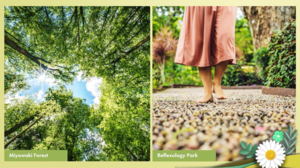 Bedroom in 2 BHK Builder Floor at Signature Global Daxin Vistas, Sohna Road – for Sale