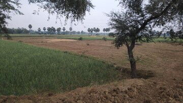 Plot Area in  Plot at Gaya International Airport – for Sale