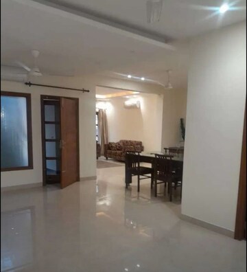 3 BHK Builder Floor For Rent in Sector 16