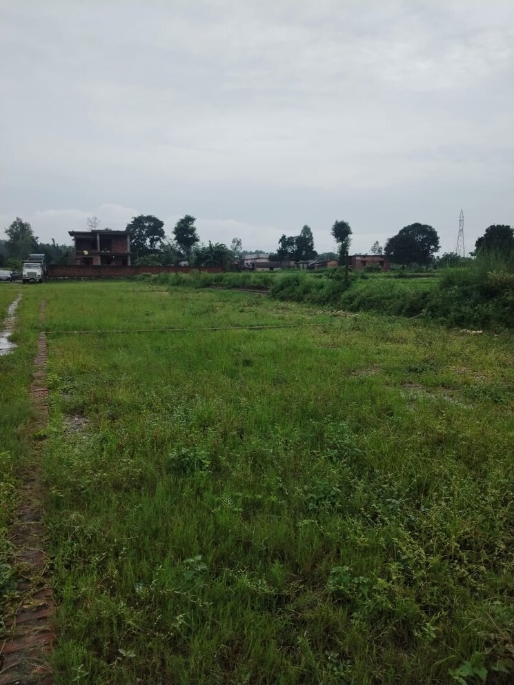 undefined, kalyanpur  1134 Sq.Ft. Plot In Kalyanpur Dehradun 8995951