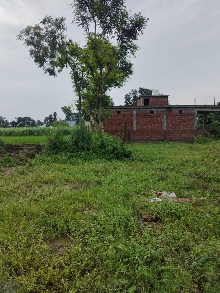 Exterior View, kalyanpur  1134 Sq.Ft. Plot In Kalyanpur Dehradun 8995951