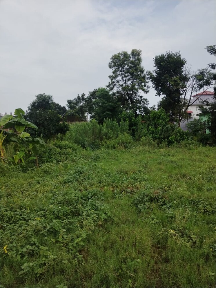 undefined, kalyanpur  1116 Sq.Ft. Plot In Kalyanpur Dehradun 8995964