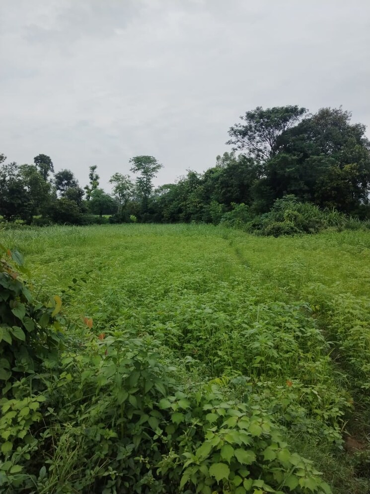 Garden, kalyanpur  1116 Sq.Ft. Plot In Kalyanpur Dehradun 8995964