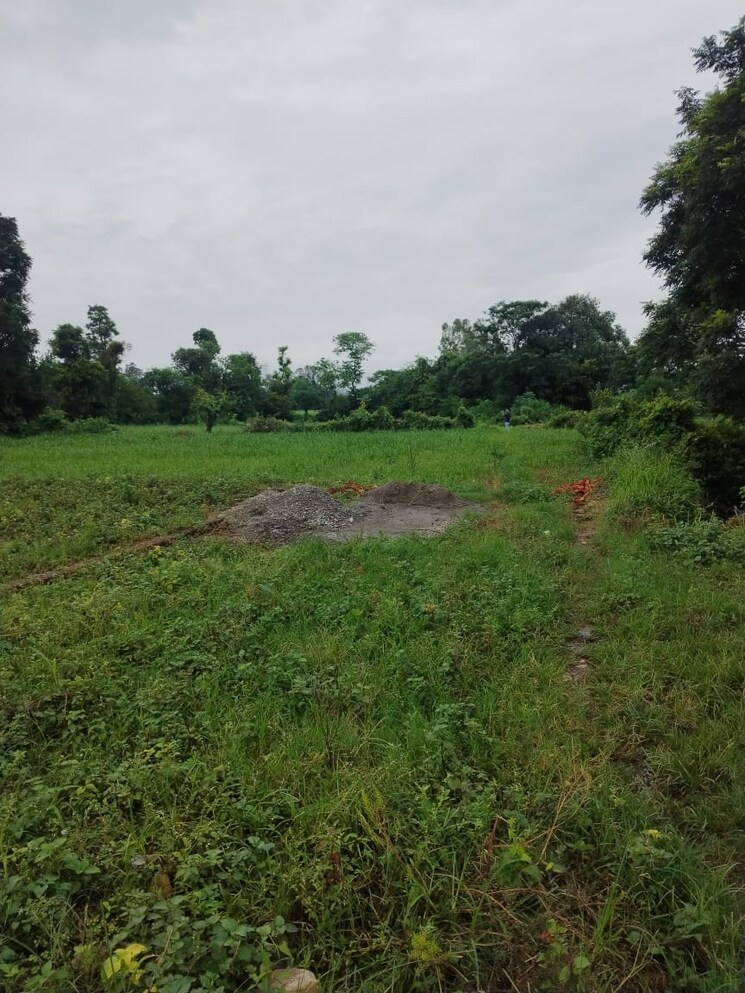 Garden, kalyanpur  1116 Sq.Ft. Plot In Kalyanpur Dehradun 8995964