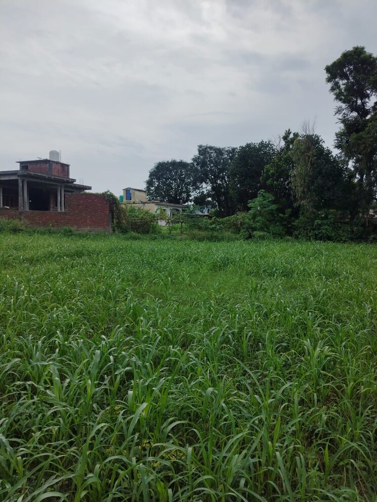 Exterior View, kalyanpur  1116 Sq.Ft. Plot In Kalyanpur Dehradun 8995964