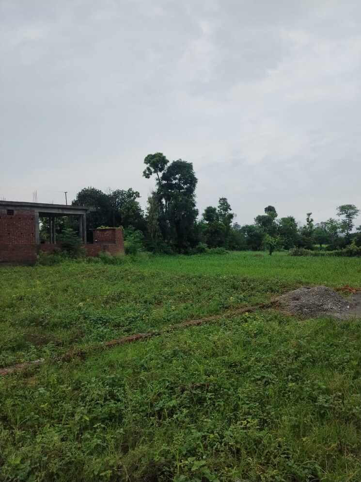 undefined, kalyanpur  1116 Sq.Ft. Plot In Kalyanpur Dehradun 8995964