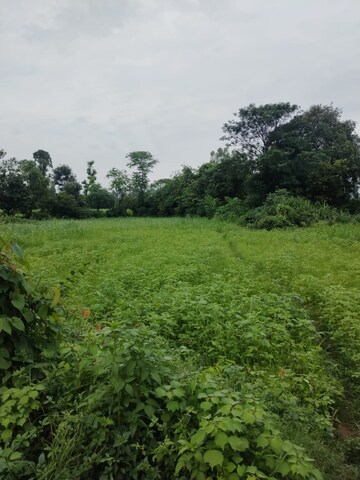  Plot – Garden View at Kalyanpur - for Sale
