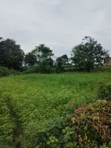 Plot Area in  Plot at Kalyanpur – for Sale