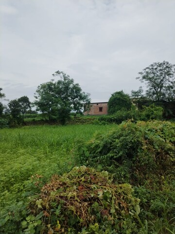 Plot Area in  Plot at Kalyanpur – for Sale