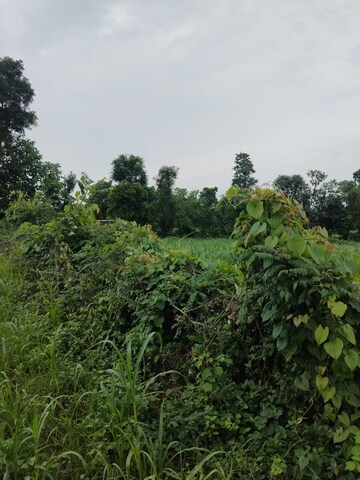  Plot – Garden View at Kalyanpur - for Sale