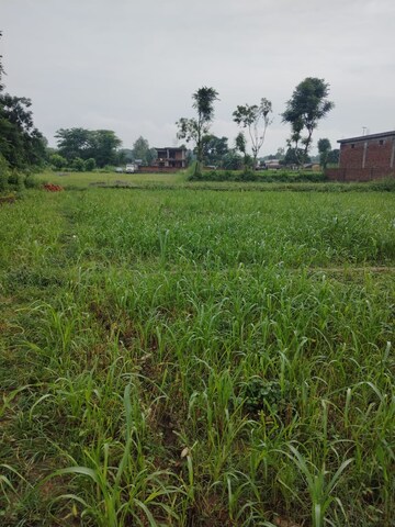 Plot Area in  Plot at Kalyanpur – for Sale