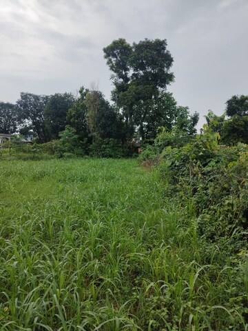 Plot Area in  Plot at Kalyanpur – for Sale