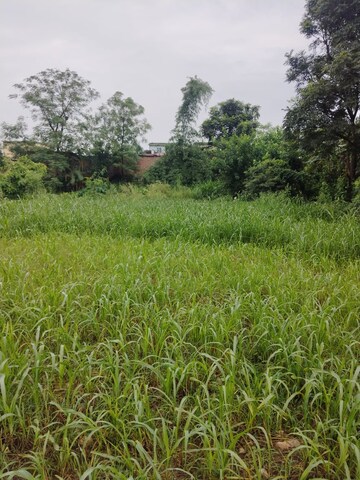 Plot Area in  Plot at Kalyanpur – for Sale