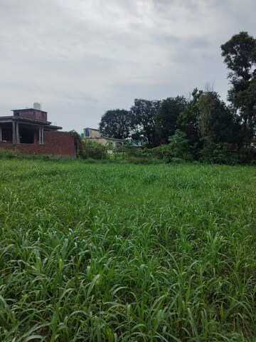  Plot – Garden View at Kalyanpur - for Sale