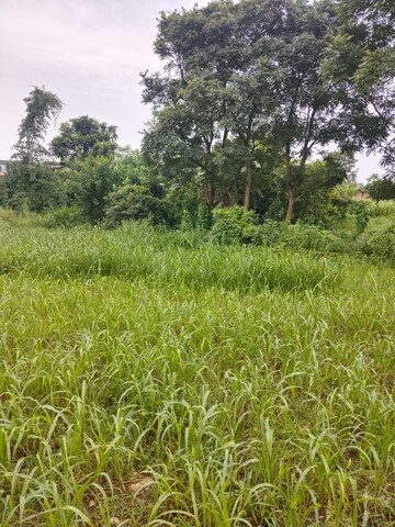 Plot Area in  Plot at Kalyanpur – for Sale