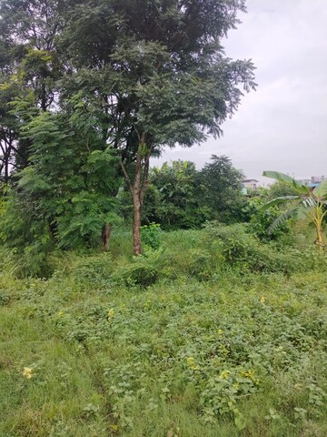  Plot – Garden View at Kalyanpur - for Sale