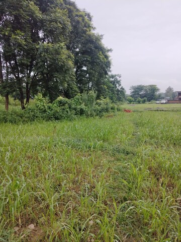 Plot Area in  Plot at Kalyanpur – for Sale